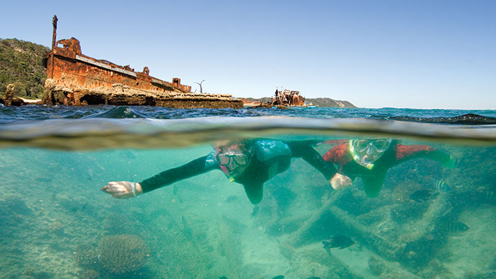 Snorkel Moreton Island